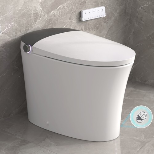 Elongated smart toilet - smart,