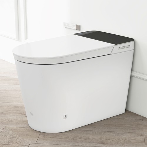 Tankless smart toilet - toilet, w/bidet